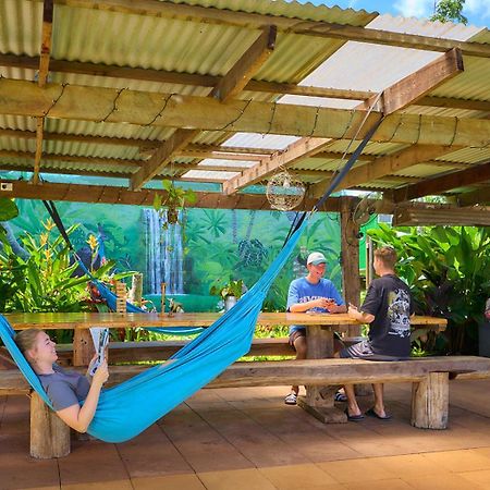 On The Wallaby Eco Lodge Yungaburra Εξωτερικό φωτογραφία