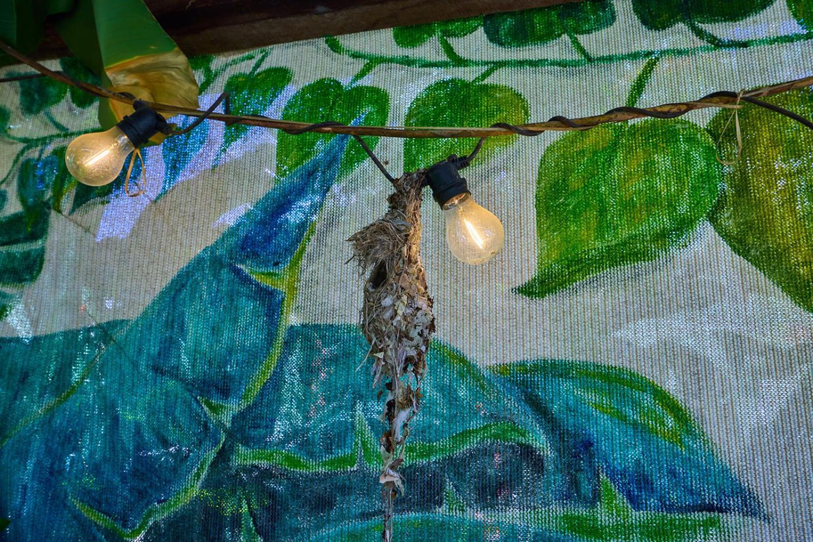 On The Wallaby Eco Lodge Yungaburra Εξωτερικό φωτογραφία