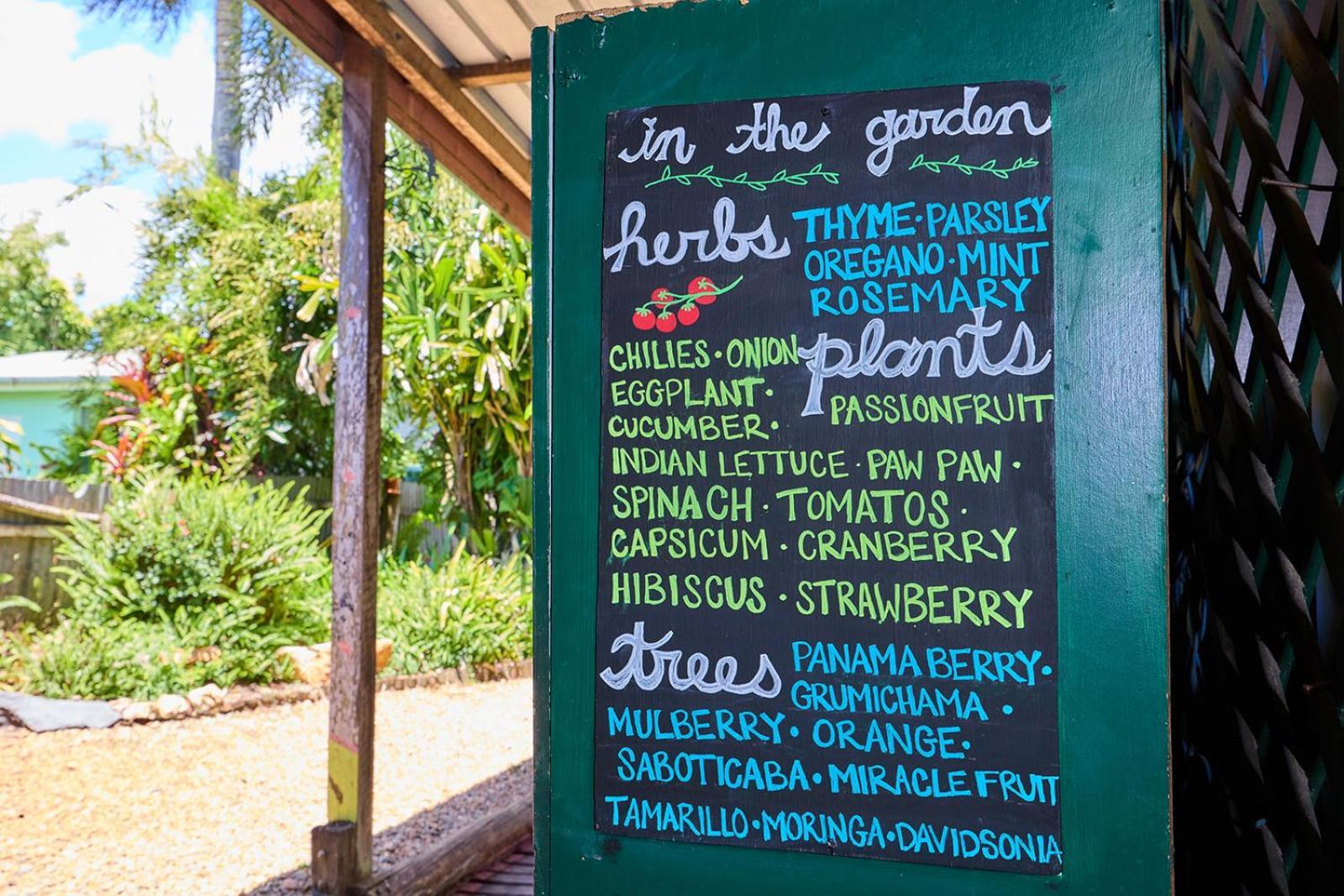 On The Wallaby Eco Lodge Yungaburra Εξωτερικό φωτογραφία